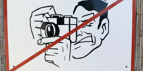 Slow lane 02|26: Mein Lesemarathon – Von Schwarten und Ratten | Frankfurter Messe-clicks | Meine ersten Sätze für den Rest-Sommer